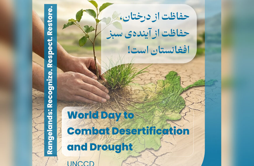 World Day to Combat Desertification and Drought, 17 June
